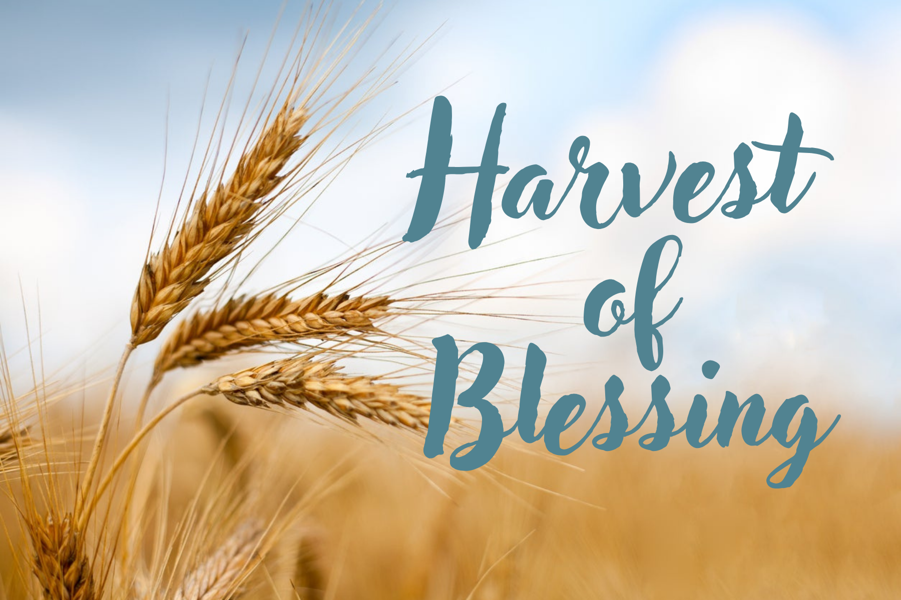 A wheat field with the text Harvest of Blessing.