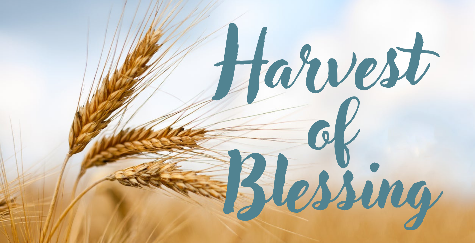 Harvest of Blessing