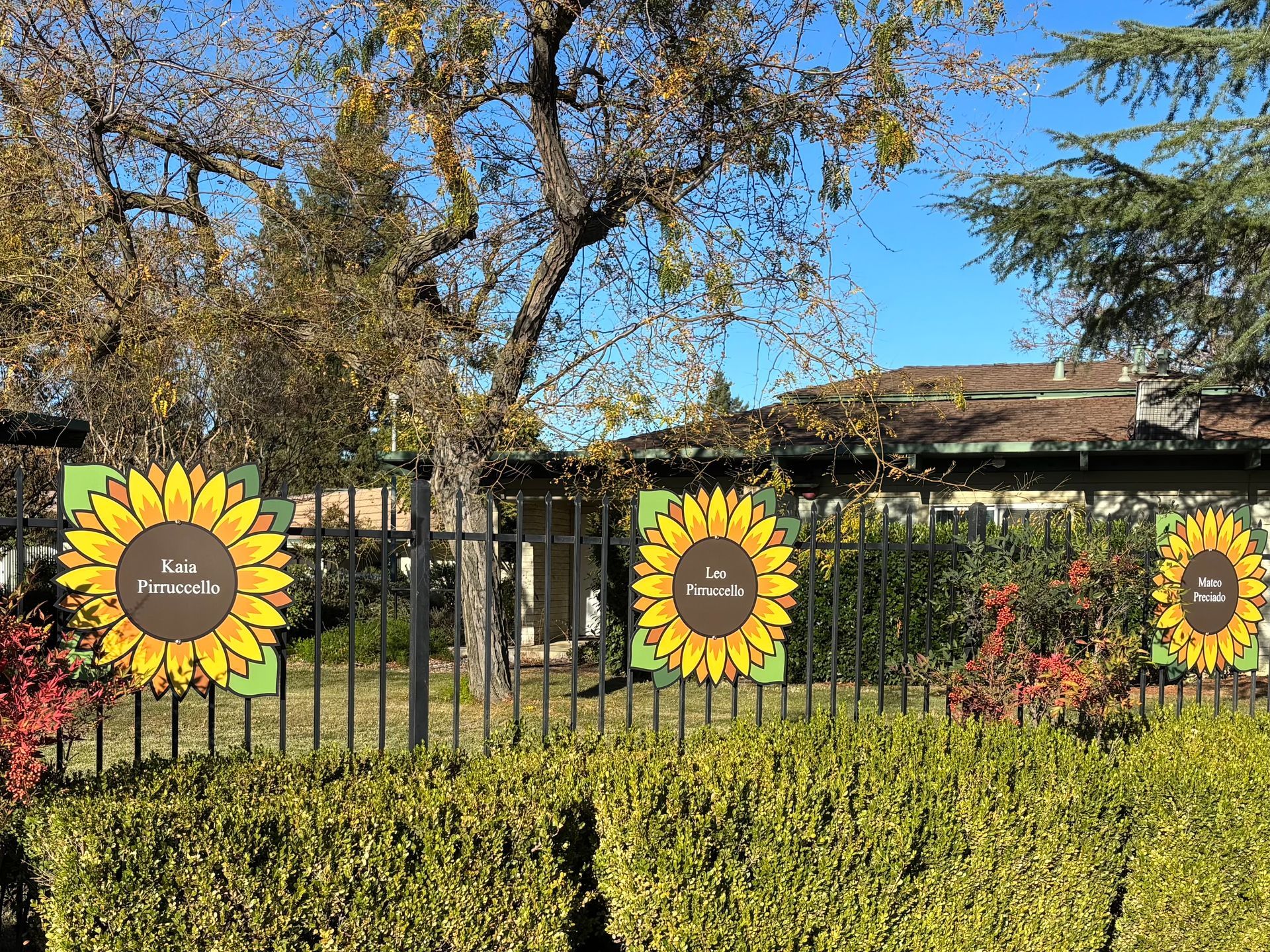 A fenced in area with trees and bushes along the side of the road
