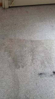 Dirty Floor — Carpet Cleaning in Beaver, PA