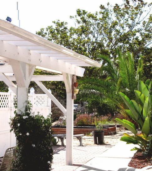 A white pergola is surrounded by trees and plants
