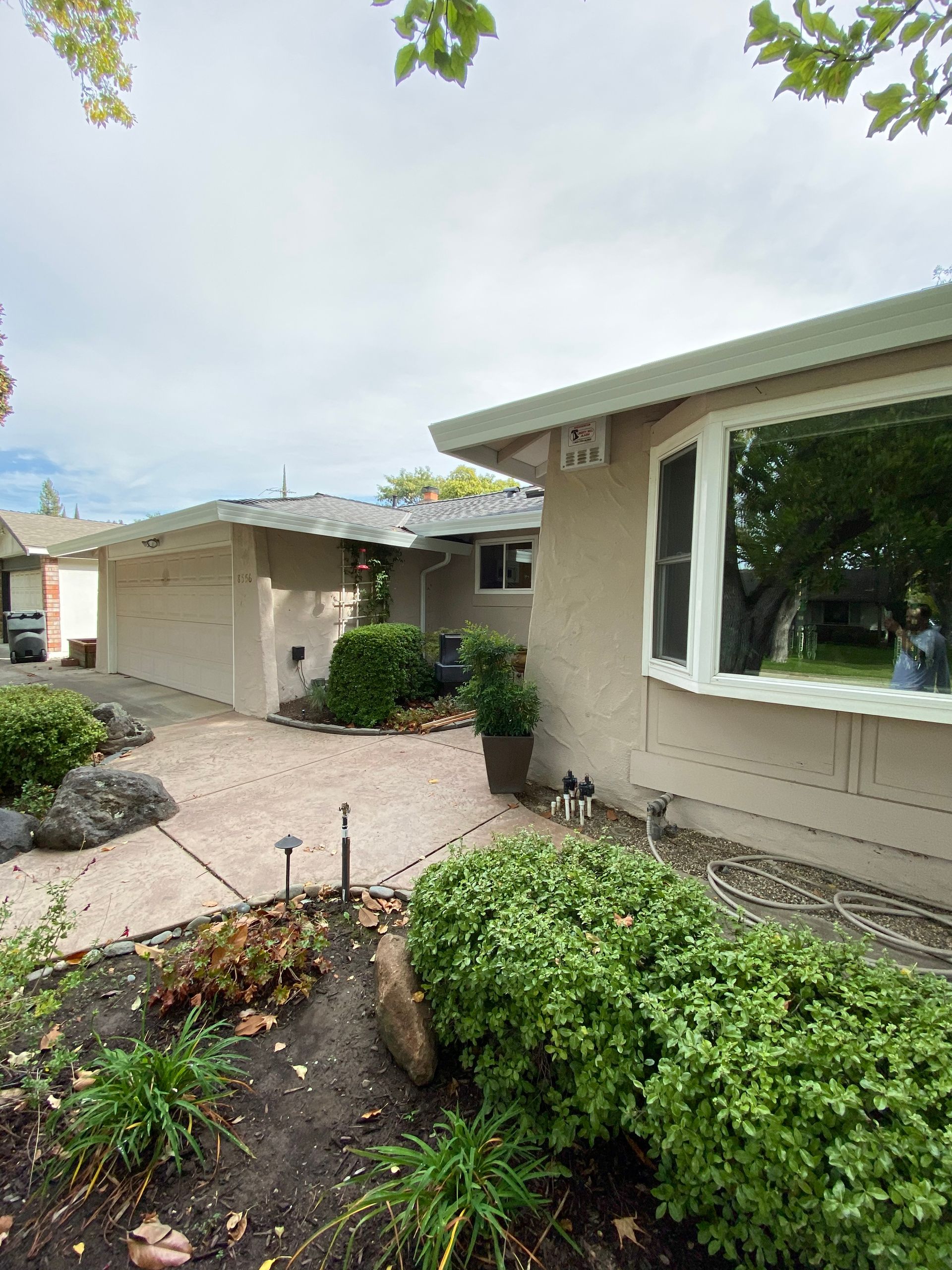 A house with a lot of bushes in front of it and a large window.