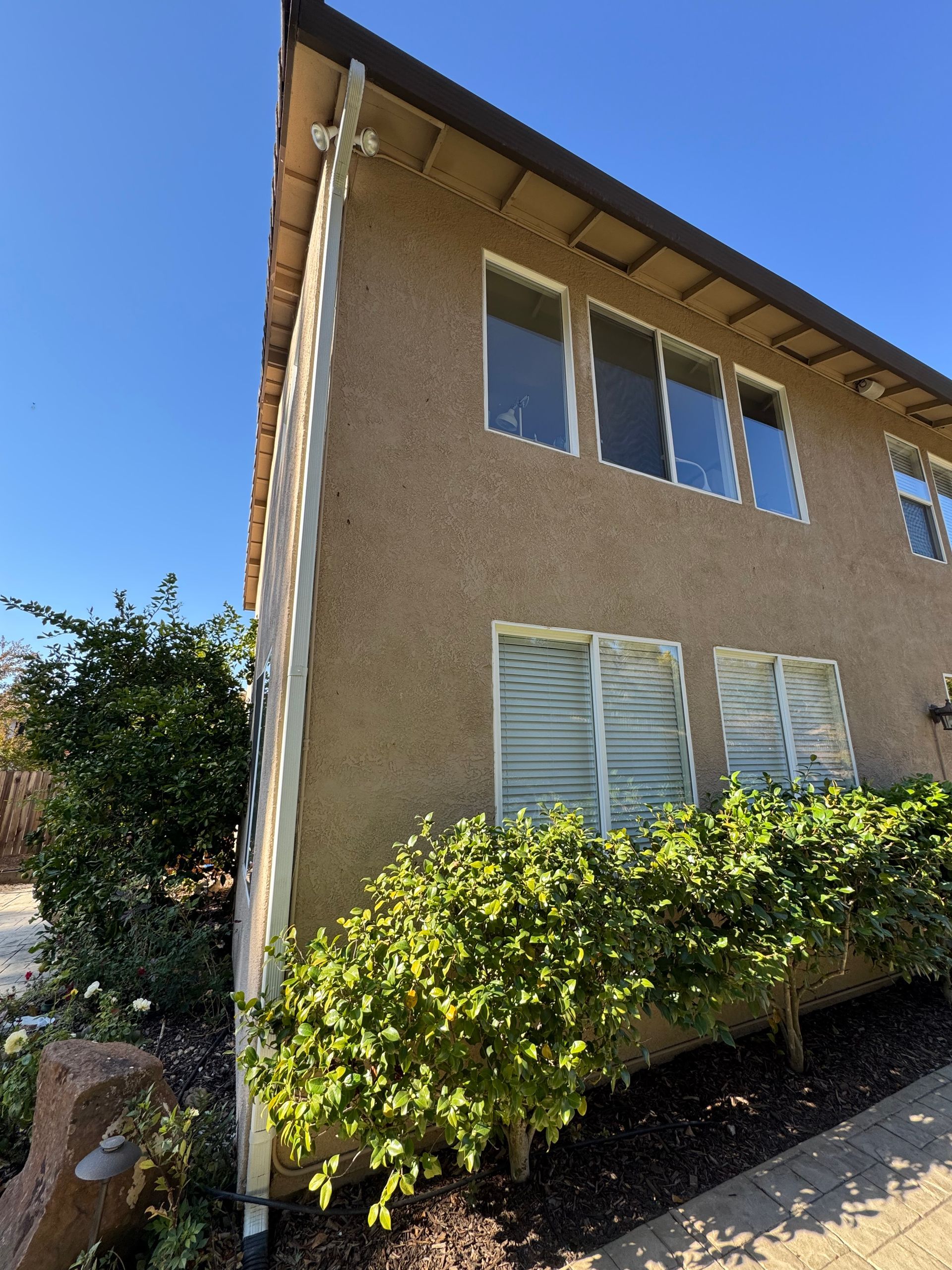 A building with a lot of windows and bushes in front of it as well as rain gutter 