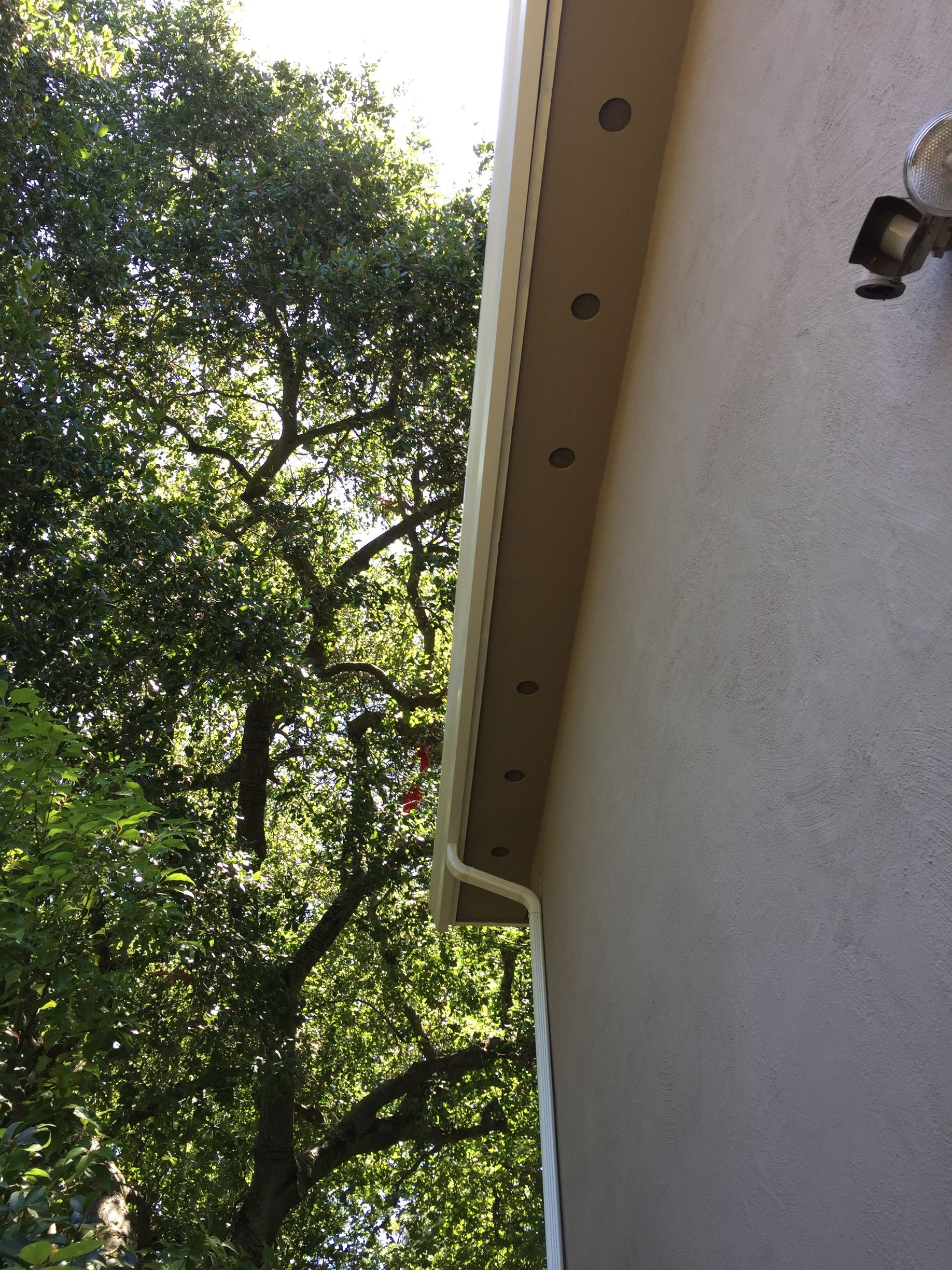 A gutter on the side of a house with trees in the background.