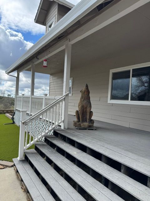 A statue of a wolf sits on the porch of a house