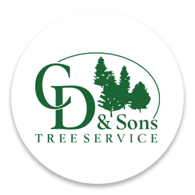 CD and Sons Tree Service logo