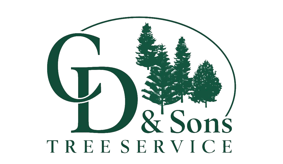 CD and Sons Tree Service
