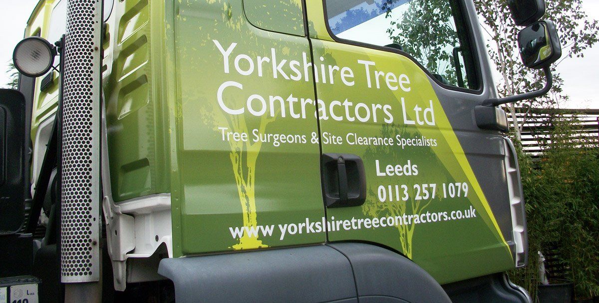 tree surgeon in Leeds