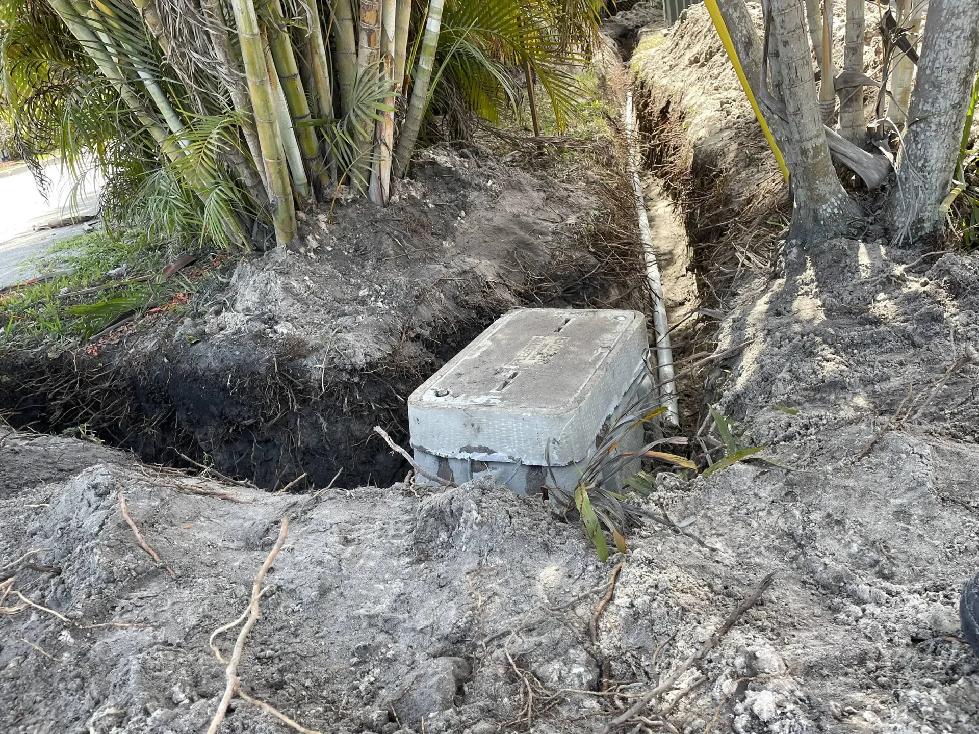 A concrete box is sitting in the dirt next to a tree.