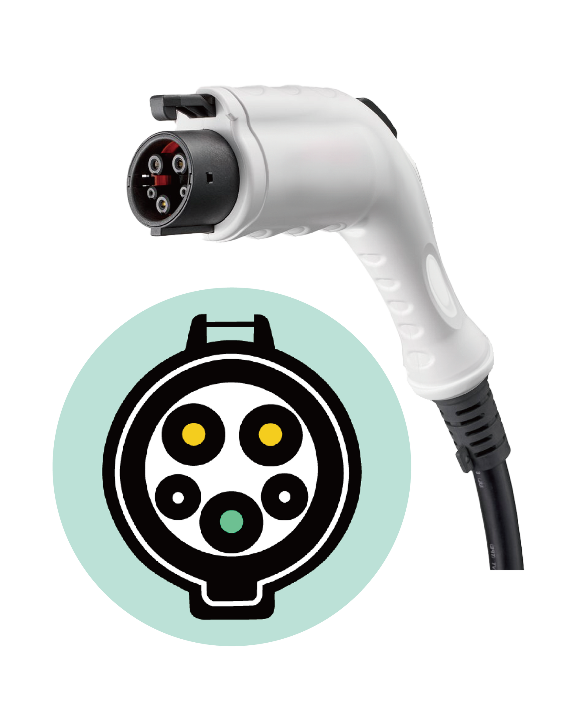 Type 1 (SAE J1772) charging standard and plug type