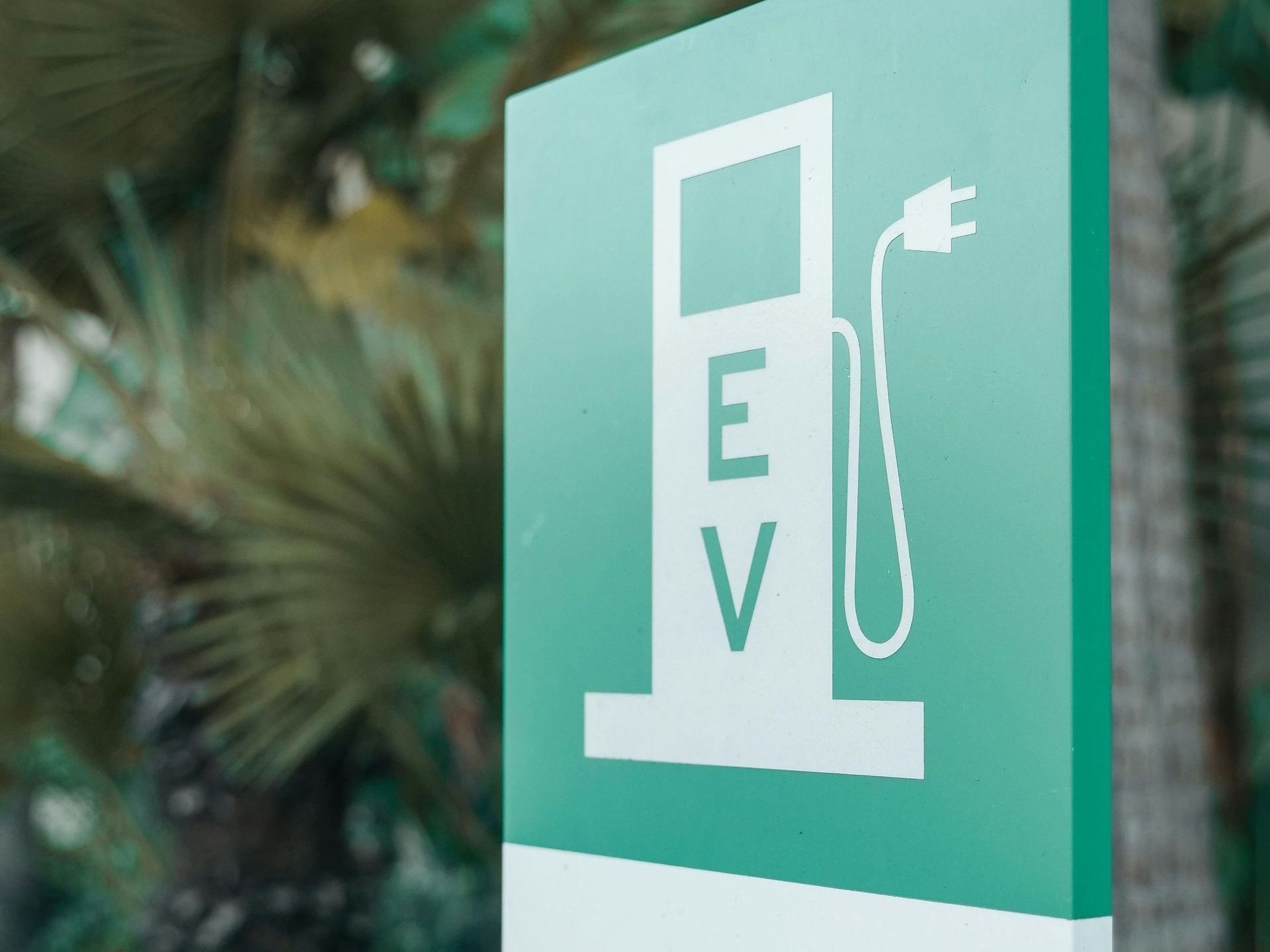 ESG, EV charger, and Green Energy: A sign for an electric vehicle charging station with a palm tree in the background.