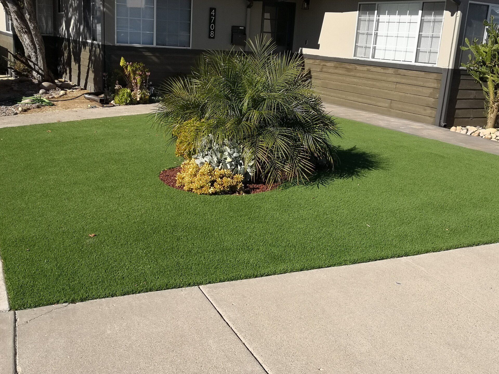 artificial lawn installed by Gilbert Artificial Turf and Green pros around a pygmy date palm