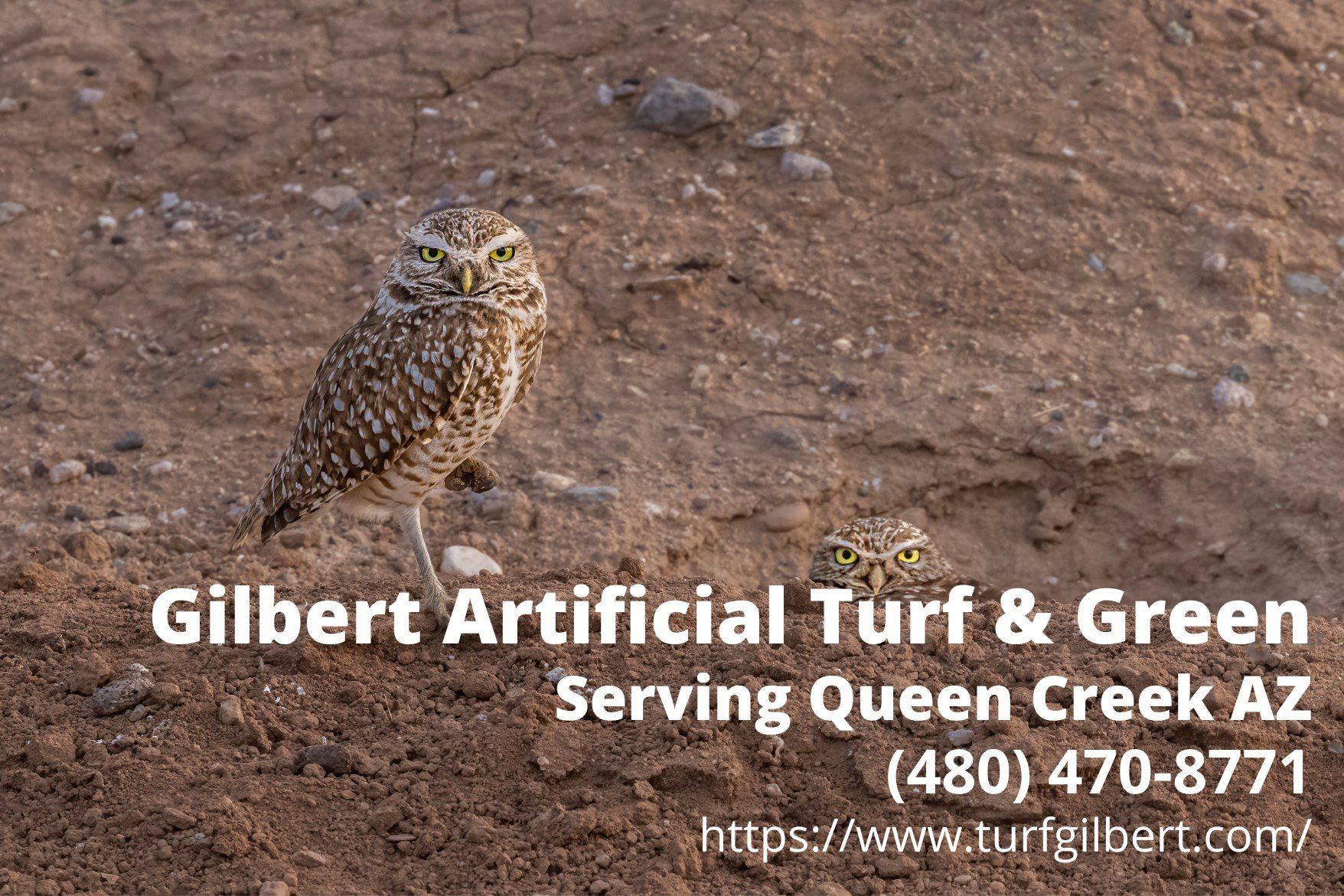 contact details of Gilbert Artificial Turf & Green - an artificial turf installer in Queen Creek, AZ