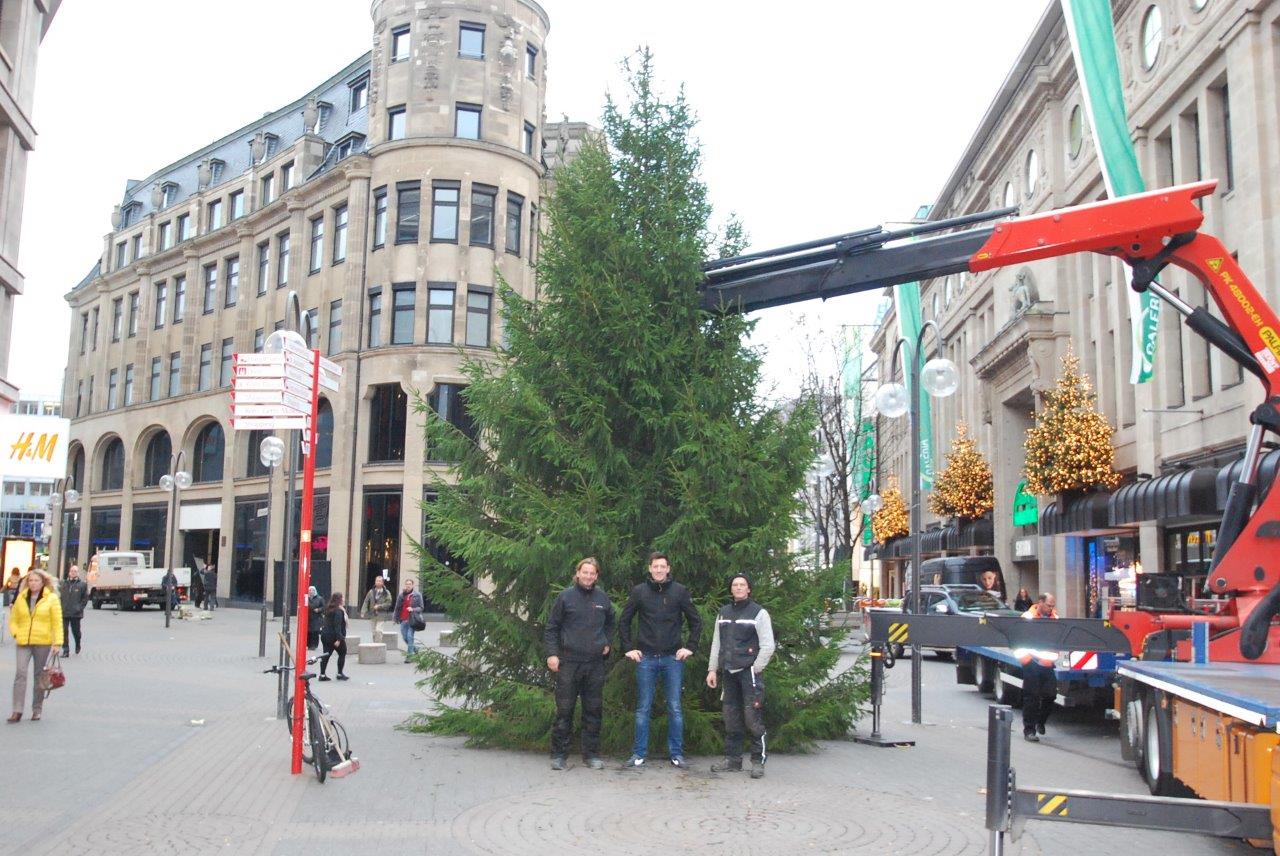 Ein großer Weihnachtsbaum wird von einem Kran angehoben