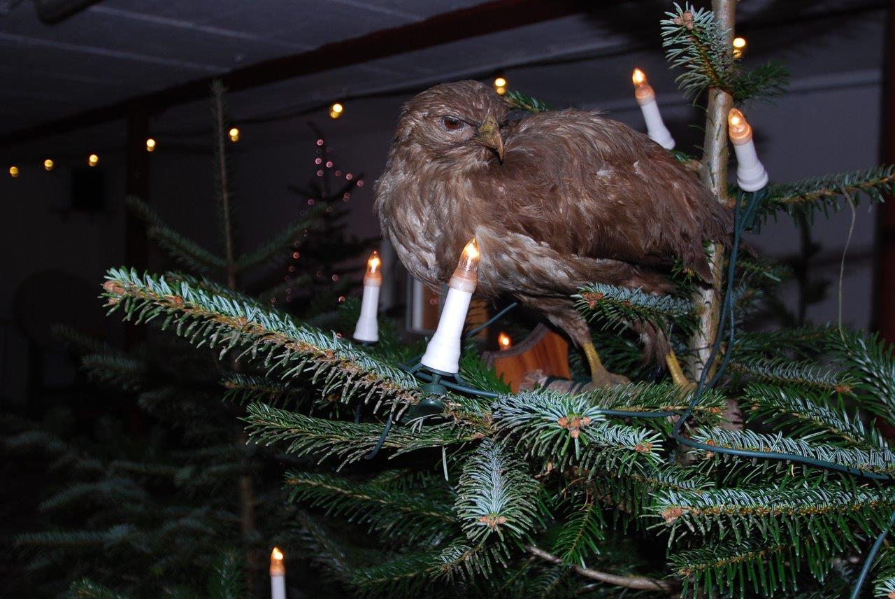 Ein Vogel sitzt auf der Spitze eines Weihnachtsbaums mit Kerzen.