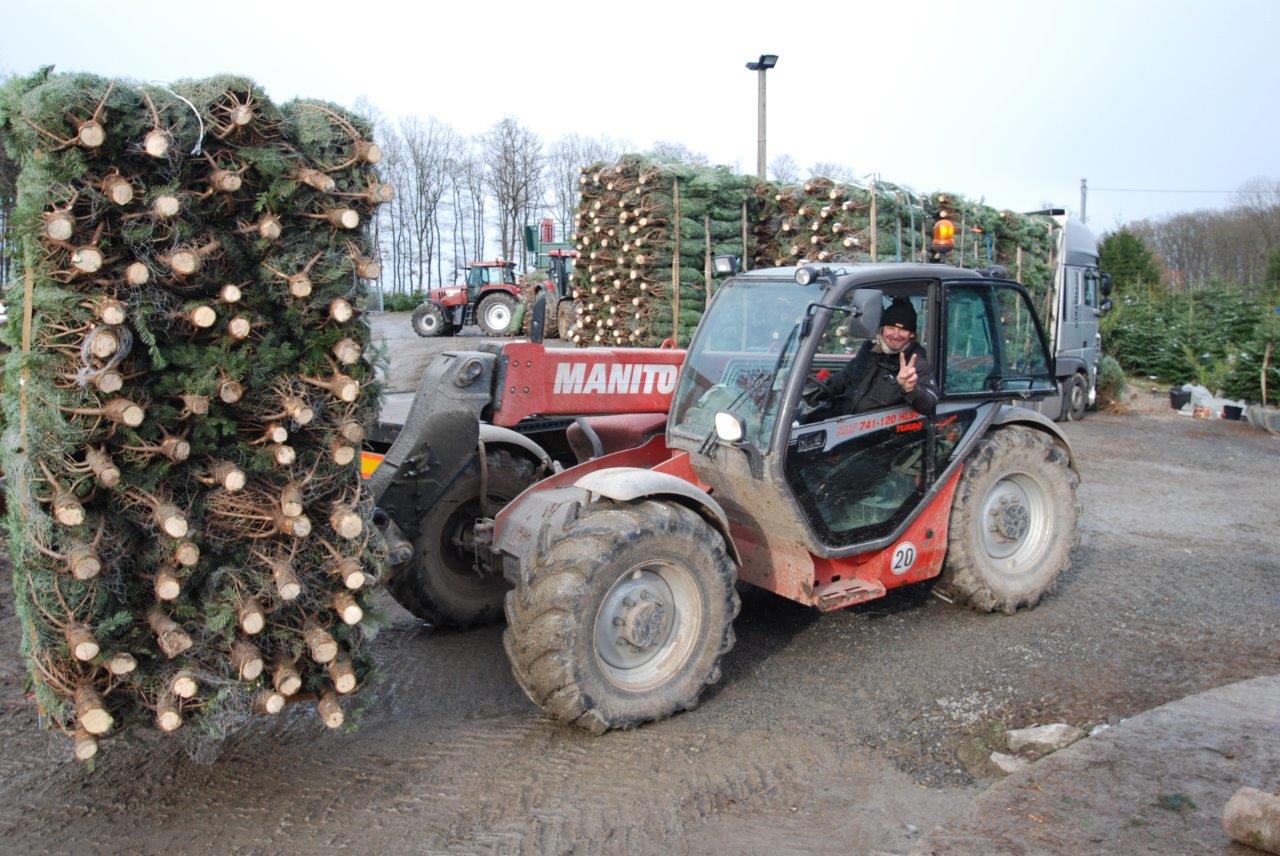 Ein Mann fährt einen Gabelstapler und transportiert einen großen Stapel Weihnachtsbäume.