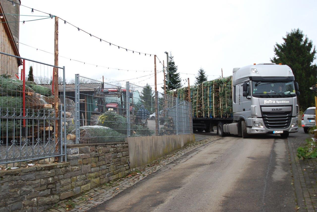 Ein Lastwagen fährt eine Straße entlang, auf dessen Ladefläche Bäume liegen.