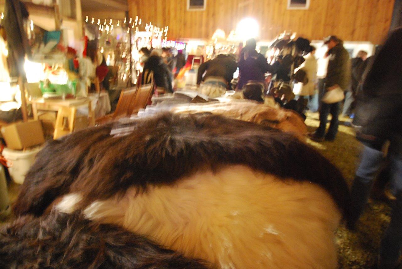 Eine Gruppe von Menschen steht in einem Raum um ein großes Tier herum.