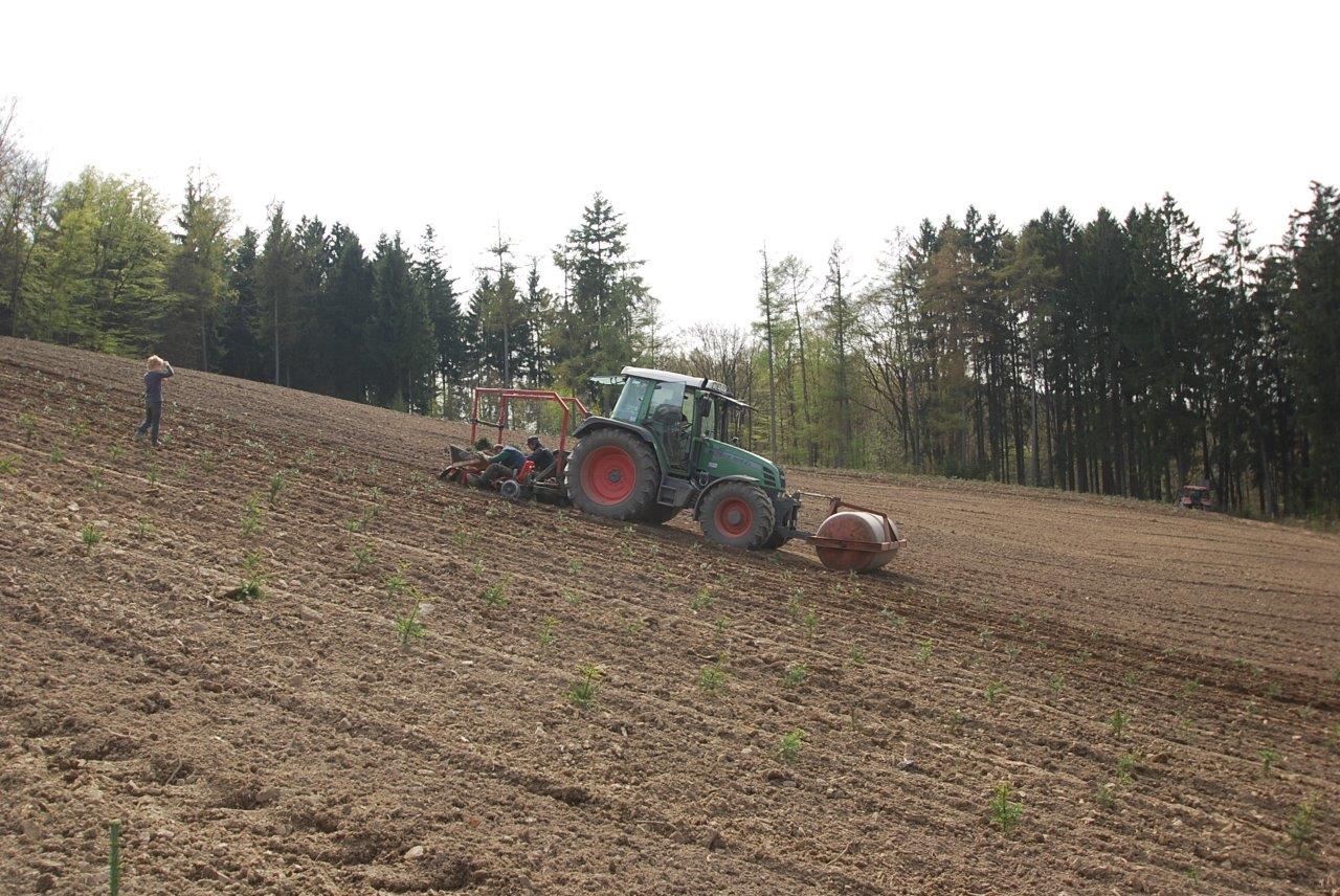 Ein Traktor pflügt ein Feld mit Bäumen im Hintergrund.