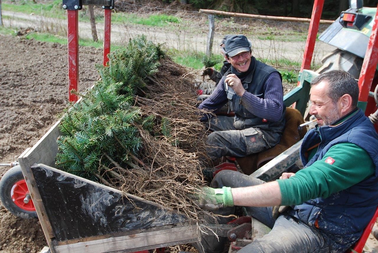 Zwei Männer sitzen in einer Schubkarre voller Pflanzen.