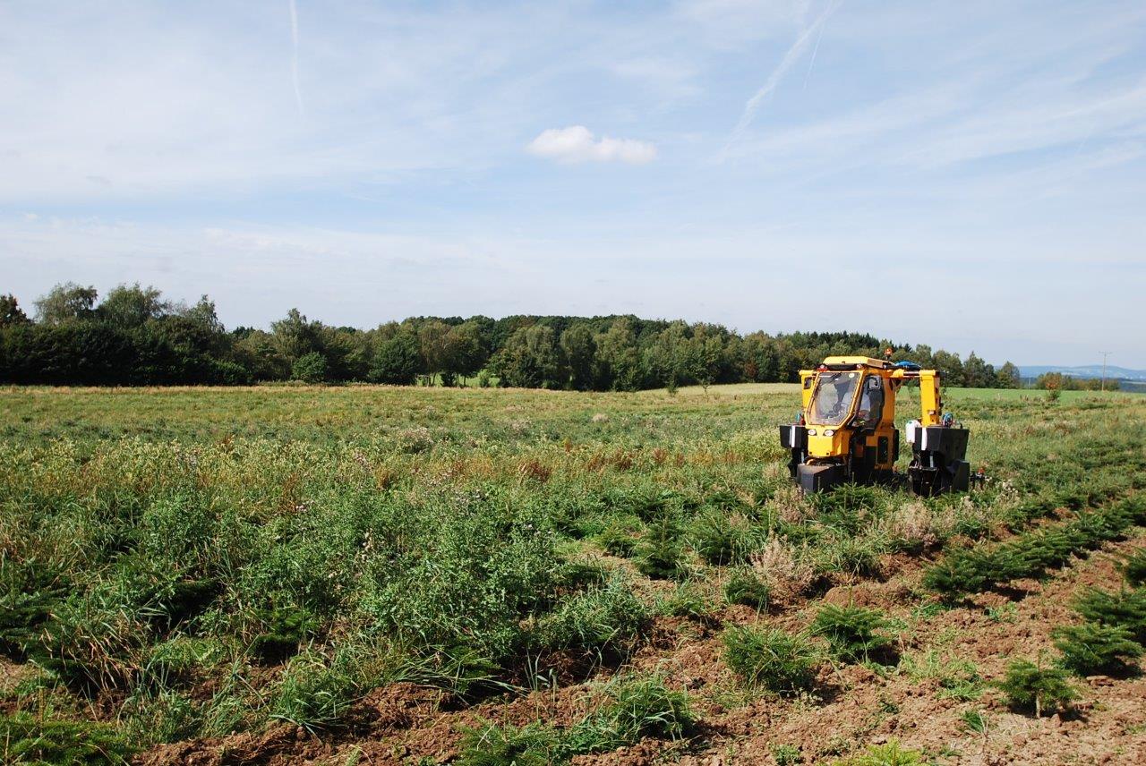 Ein gelber Traktor fährt durch ein Pflanzenfeld.