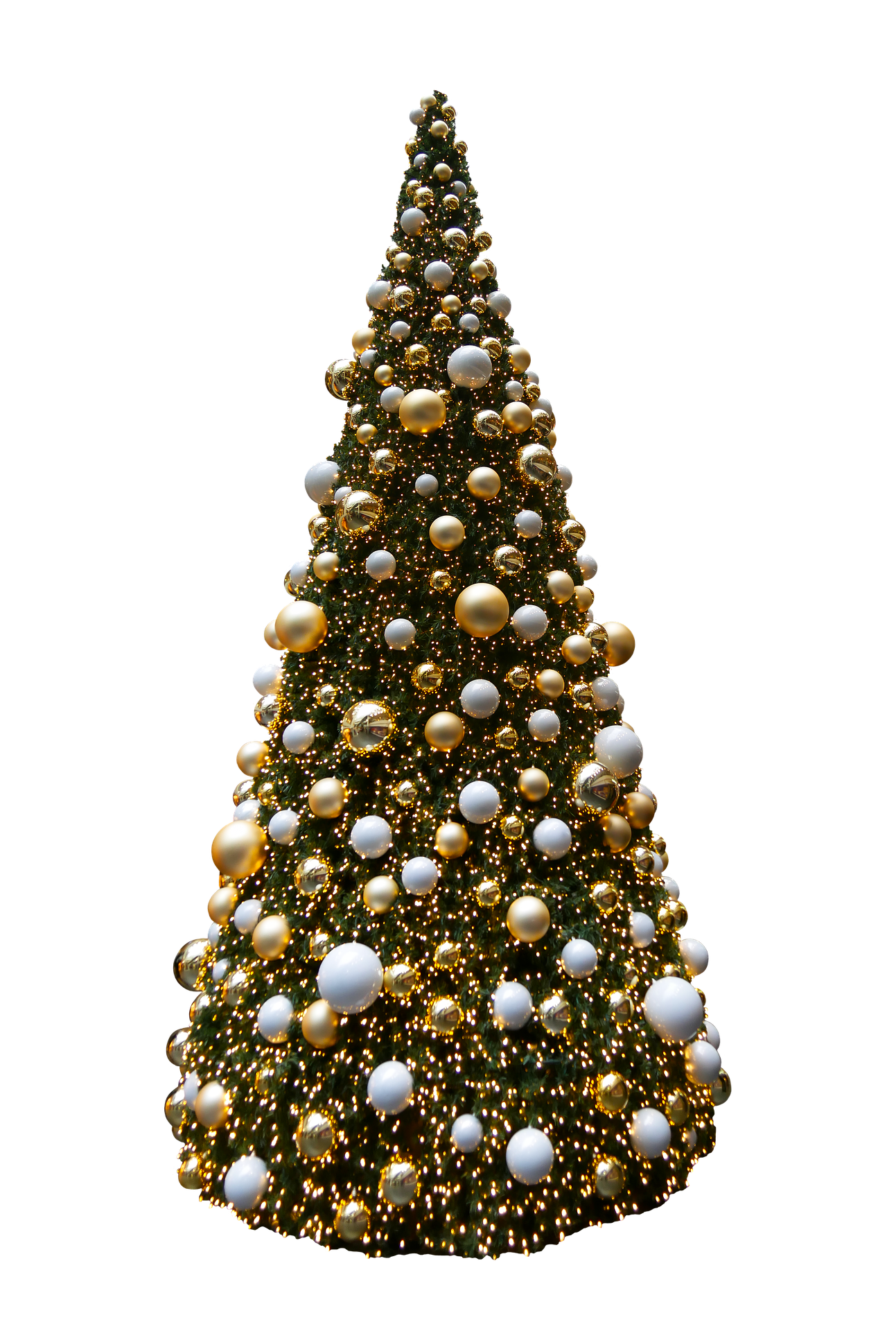 Weihnachtsbrauch Wie die Tanne zum Christbaum wurde!