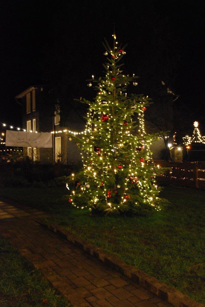 Ein Weihnachtsbaum ist nachts in einem Hof beleuchtet