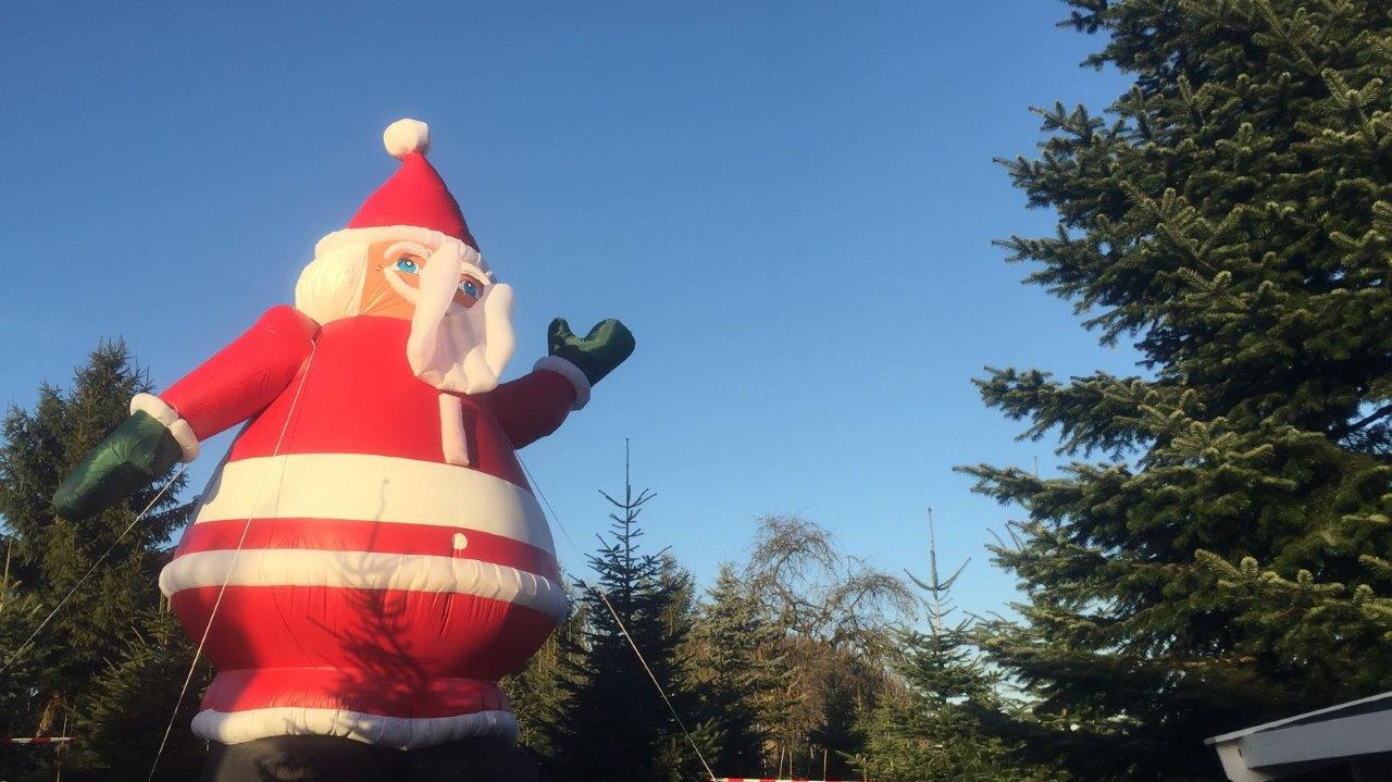 Ein großer aufblasbarer Weihnachtsmann steht vor einem Weihnachtsbaum.
