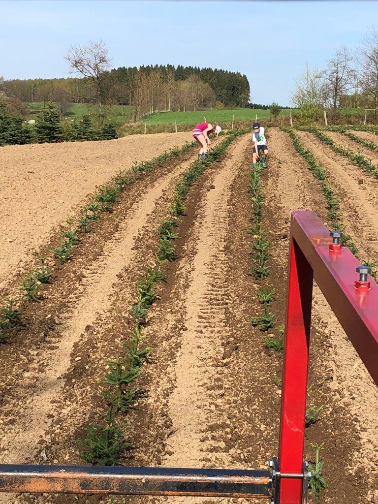 Eine Gruppe von Leuten arbeitet auf einem Pflanzenfeld.