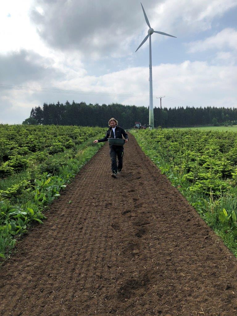 Eine Person geht einen Feldweg entlang . Im Hintergrund ist eine Windturbine zu sehen.
