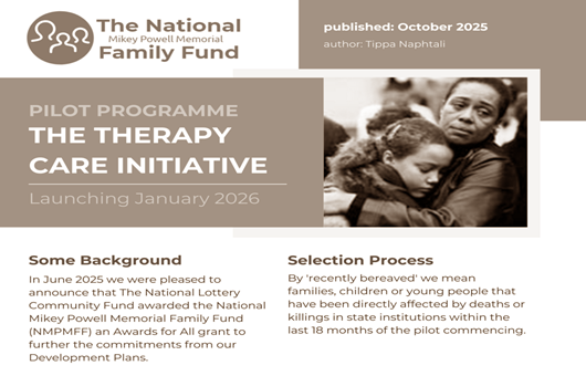 Therapy Care Initiative flyer