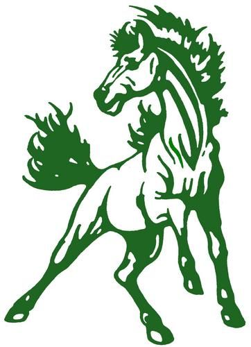 Bronco Logo