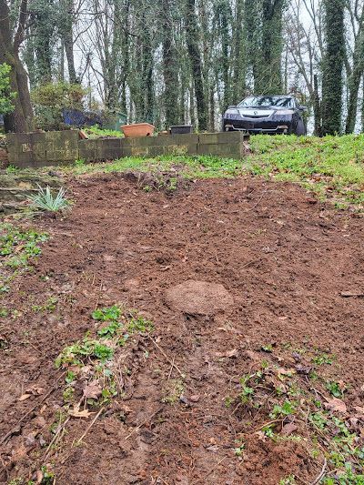 Brown dirt patch in a garden, with a few plants and a low wall. A car is visible behind the wall.