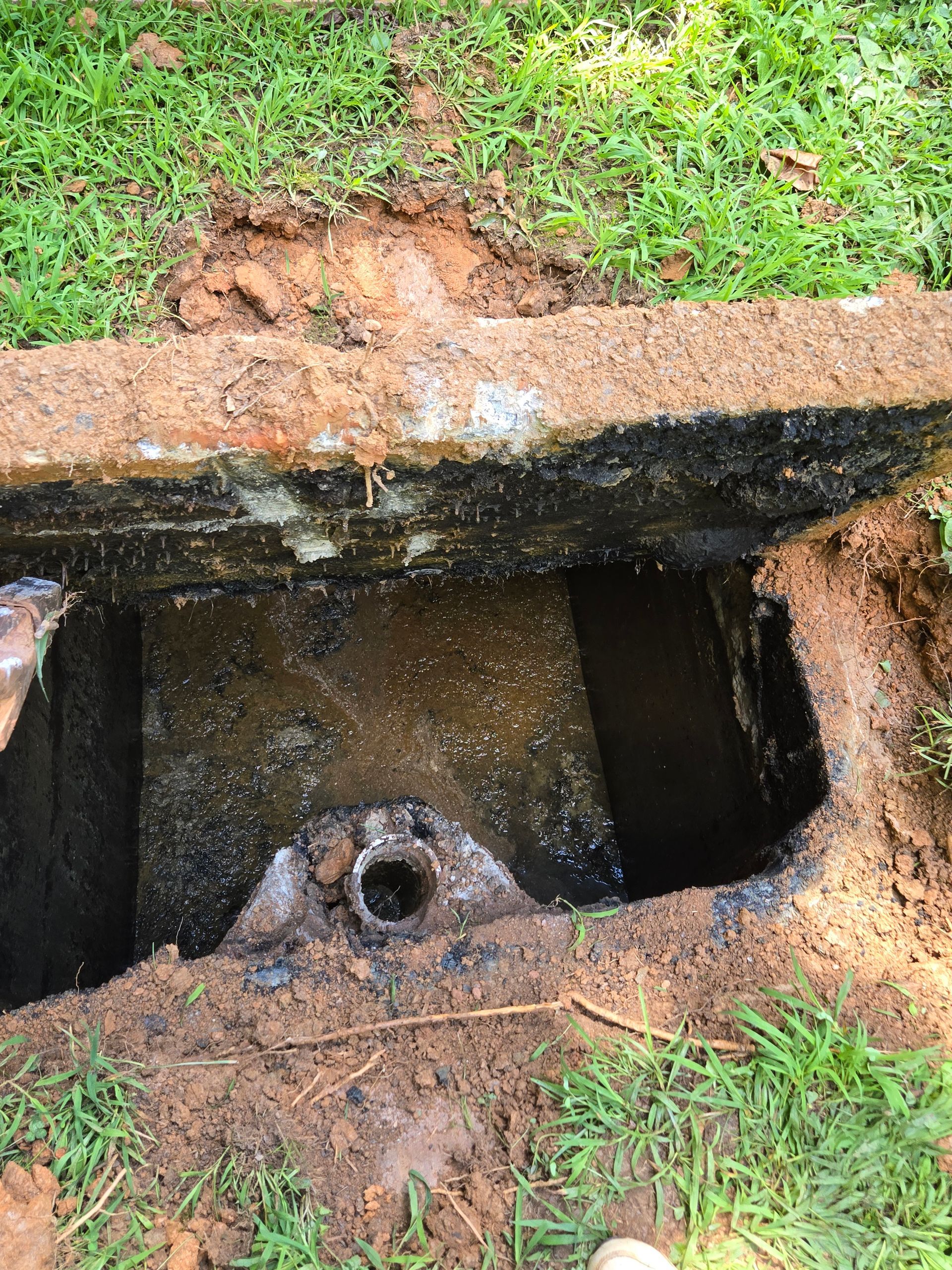 Open septic tank in a grassy yard, with a visible inlet pipe and dark residue inside.