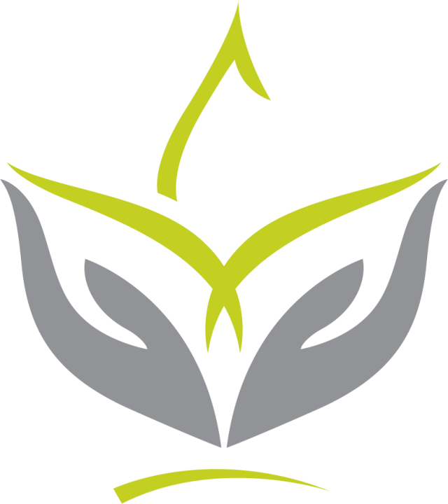 Customized Nutrition Plan with Heidi Toy Functional Medicine