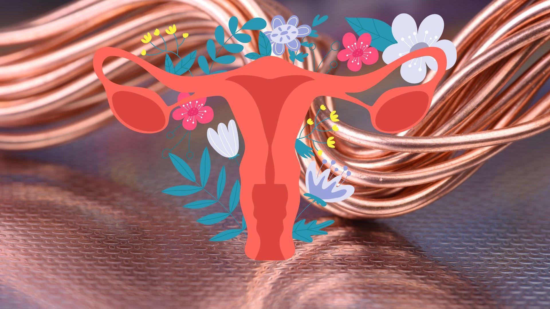 uterus to show estrogen and copper 