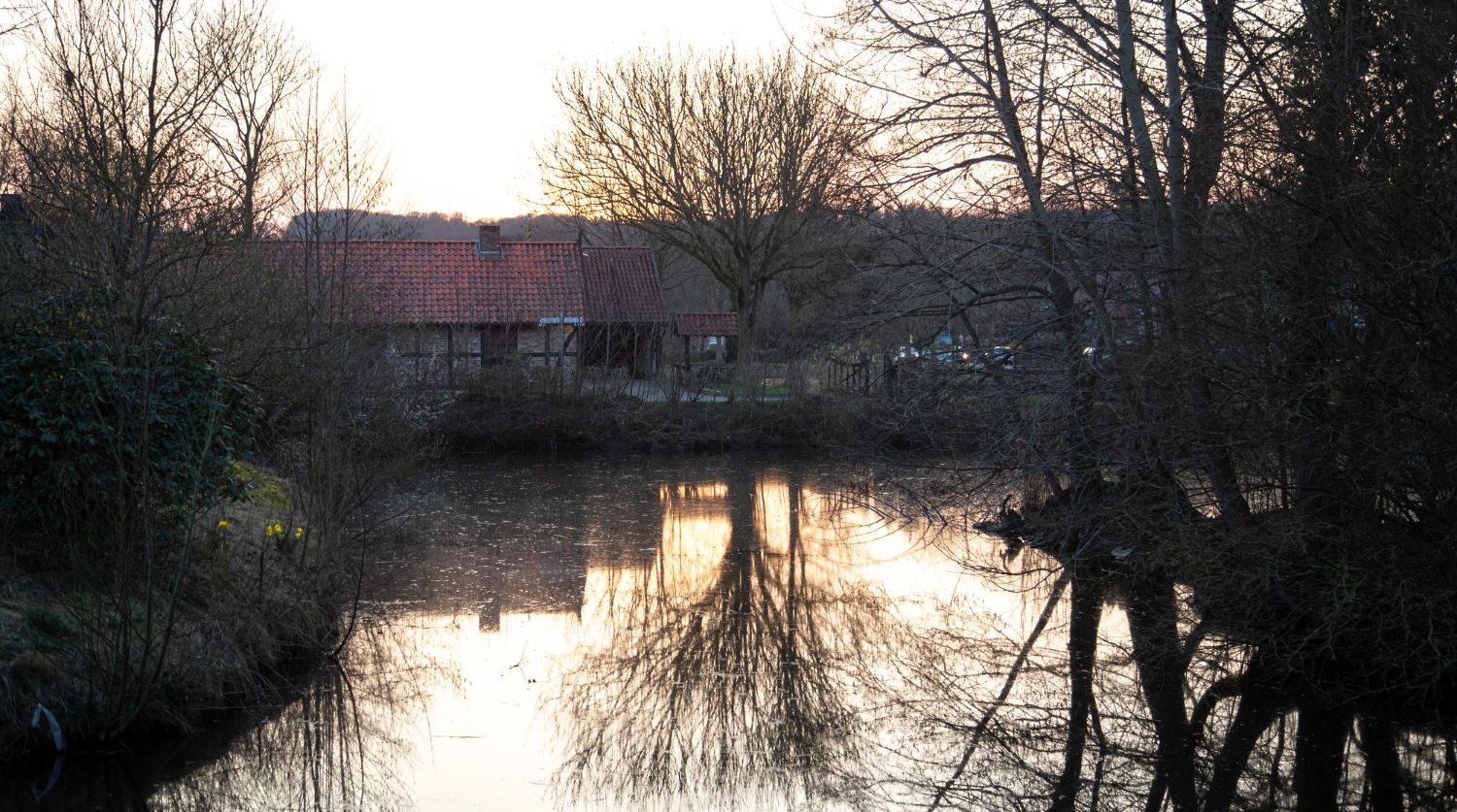 What Does a Professional Flood Restoration Timeline Look Like