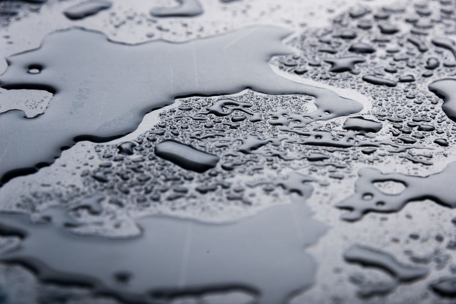 The Long-Term Effects of Untreated Water Damage