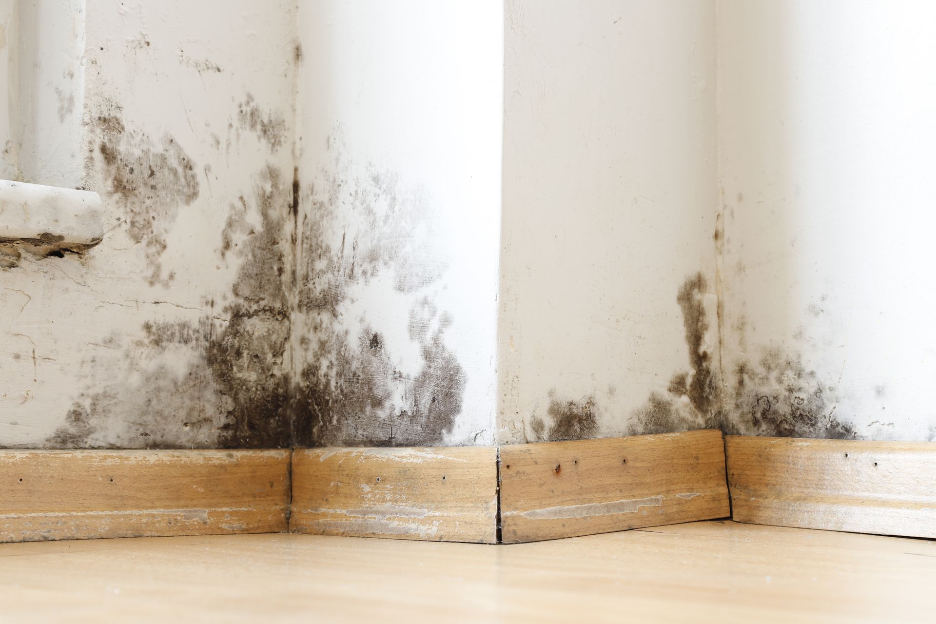 Common Causes of Water Damage Requiring Mitigation
