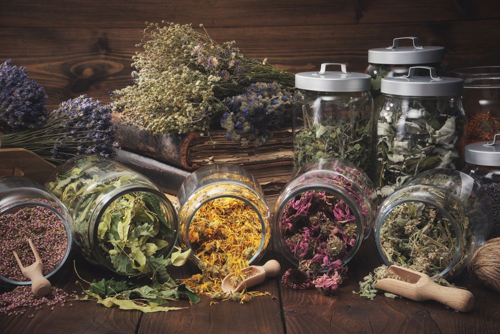 Jars Of Dry Medicinal Herbs  — Dieticians, Herbalists & Naturopaths in Kincumber, NSW