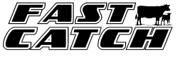 Fast Catch Homepage Logo