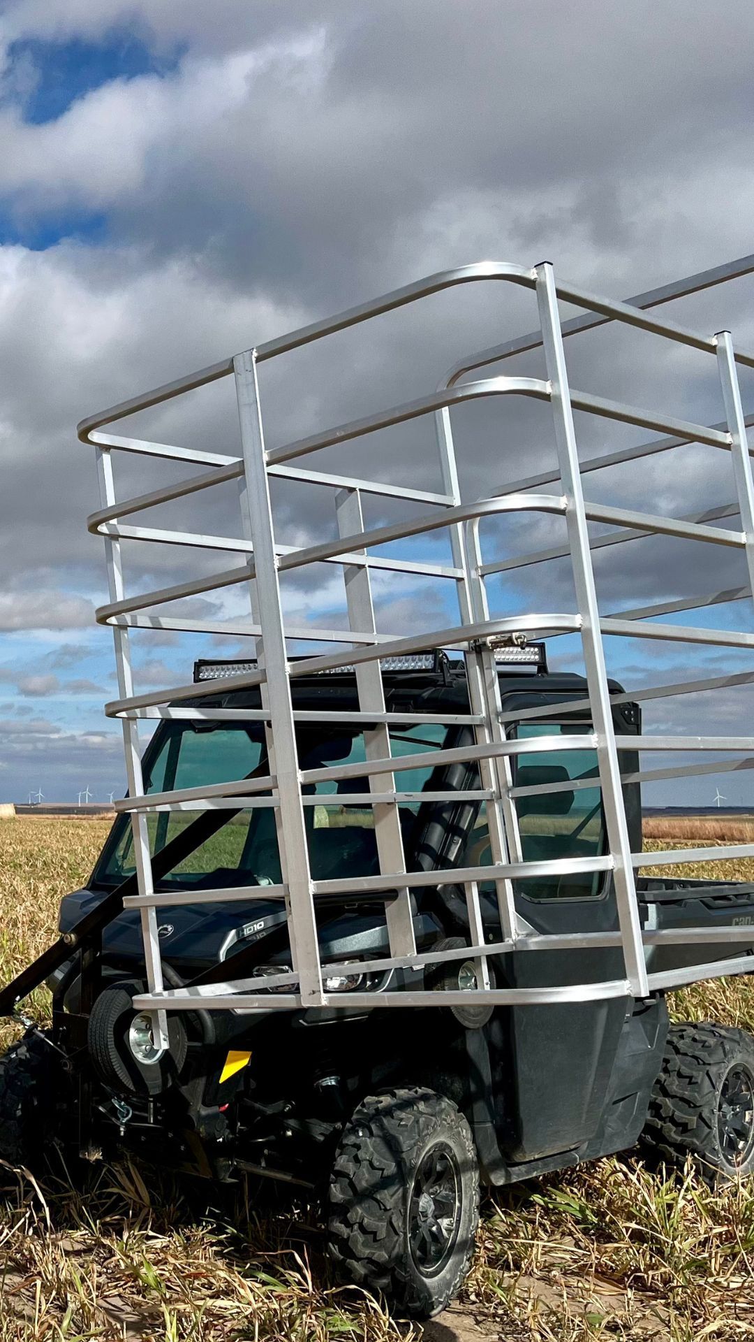 calf catcher for sale