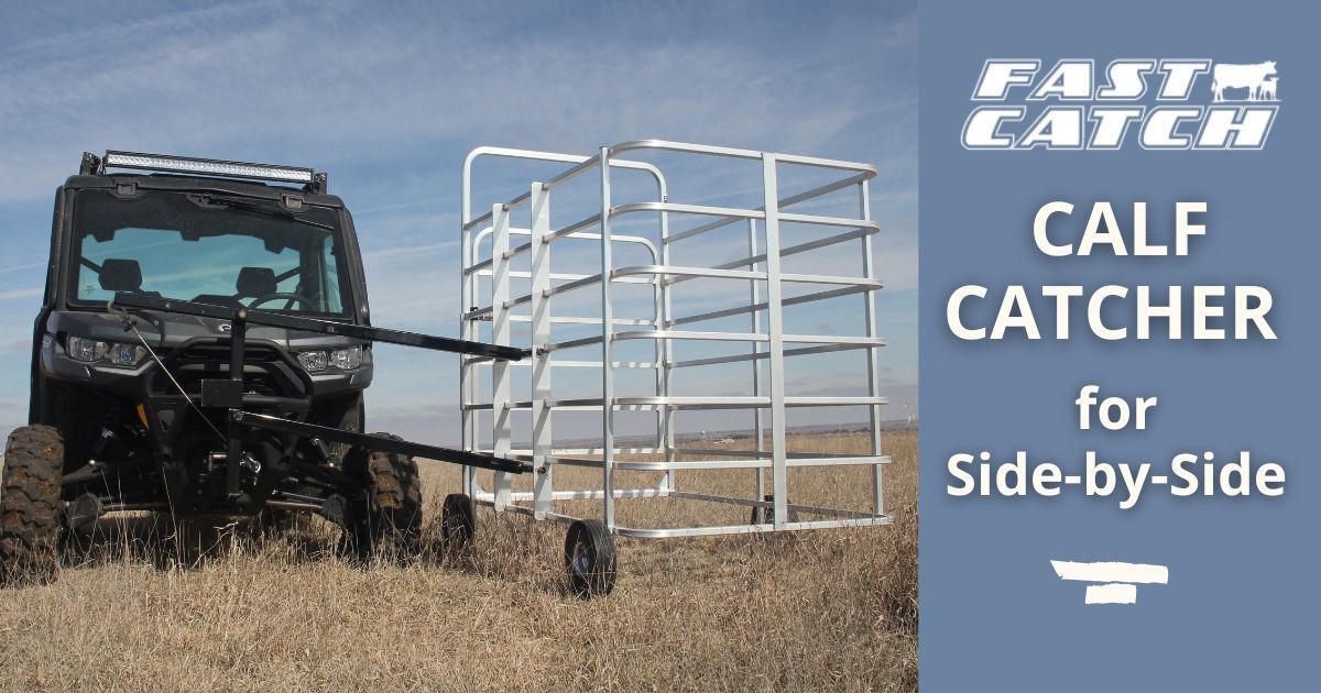 Calf Catcher For Side By Side