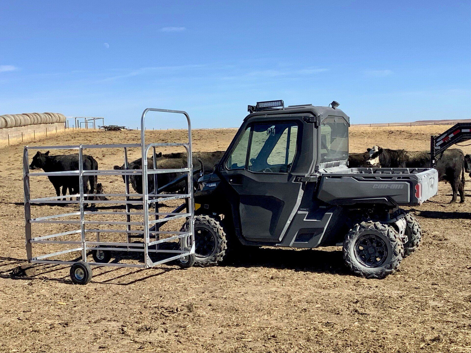Hero shot of black utv with Fast Catch cage attached to front and several black cows in the background
