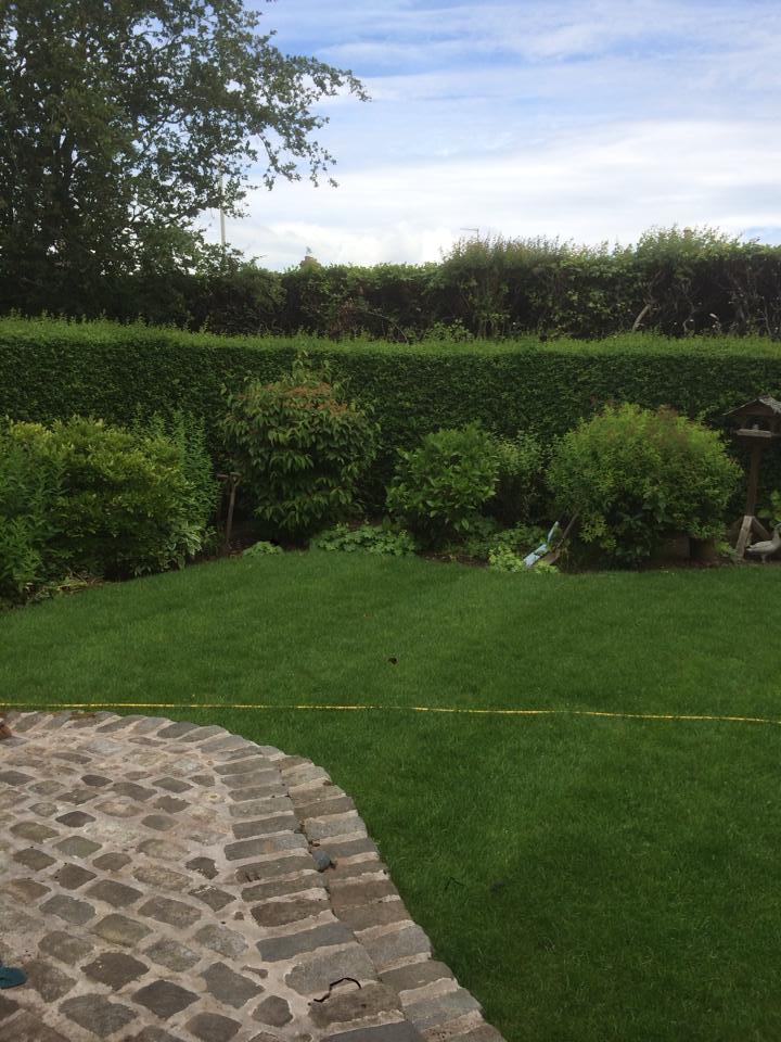 turf management work example 11