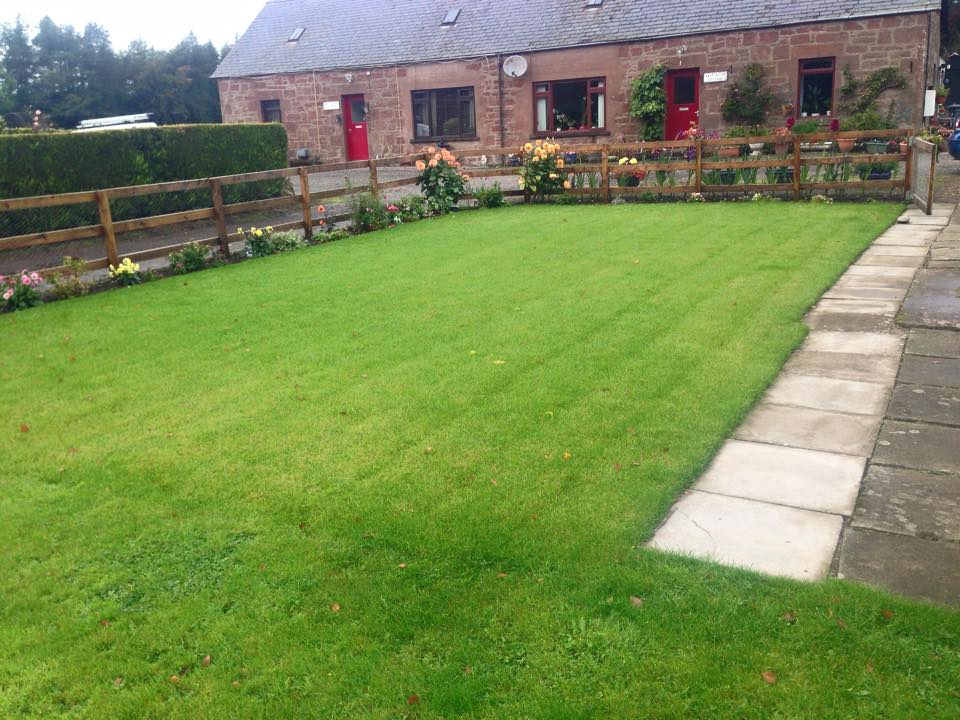 turf management work example 10