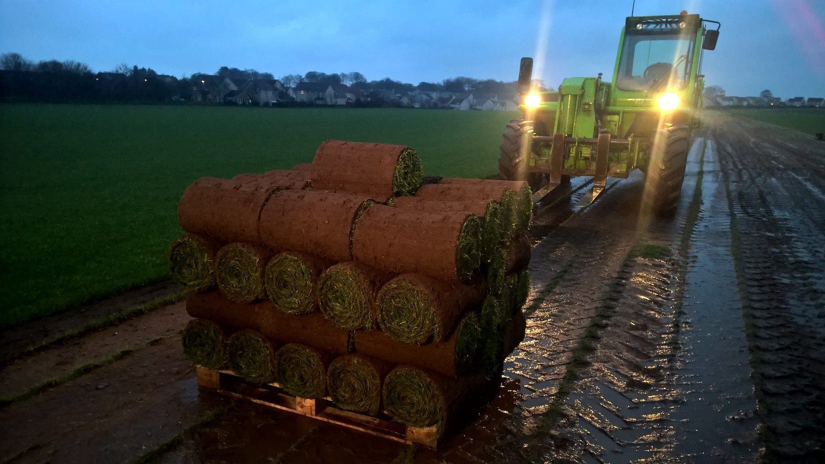 turf management work example 6