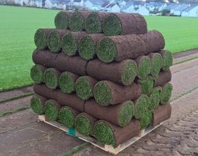 Turf supply and delivery
