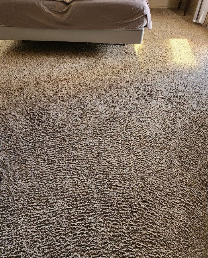 A photo of clean carpet after a Scmhitz employee has cleaned it