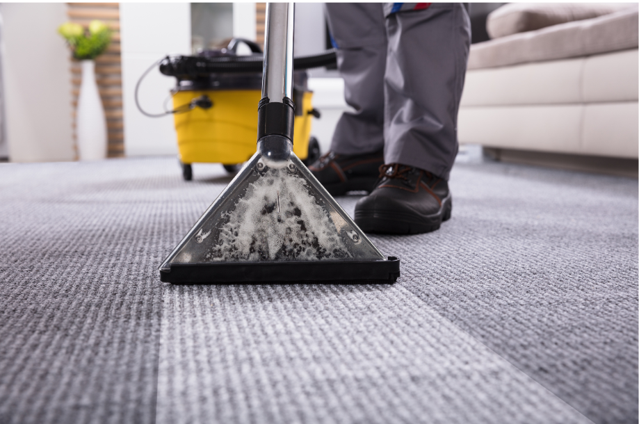 Schmitz employee using an extractor tool to clean a client's carpet and remove stains in Tucson, Arizona